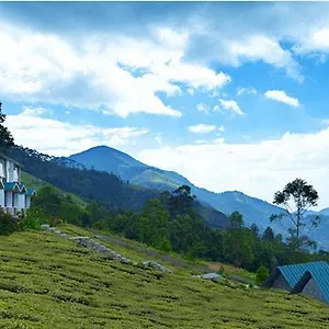 Hotel Green Jungle Holiday